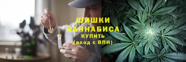 дурь Бронницы