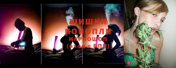 дурь Бронницы