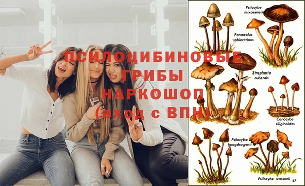 Альфа ПВП Бородино