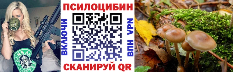 где купить наркоту  Горняк  Псилоцибиновые грибы мухоморы 